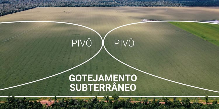 Grãos e Fibras.