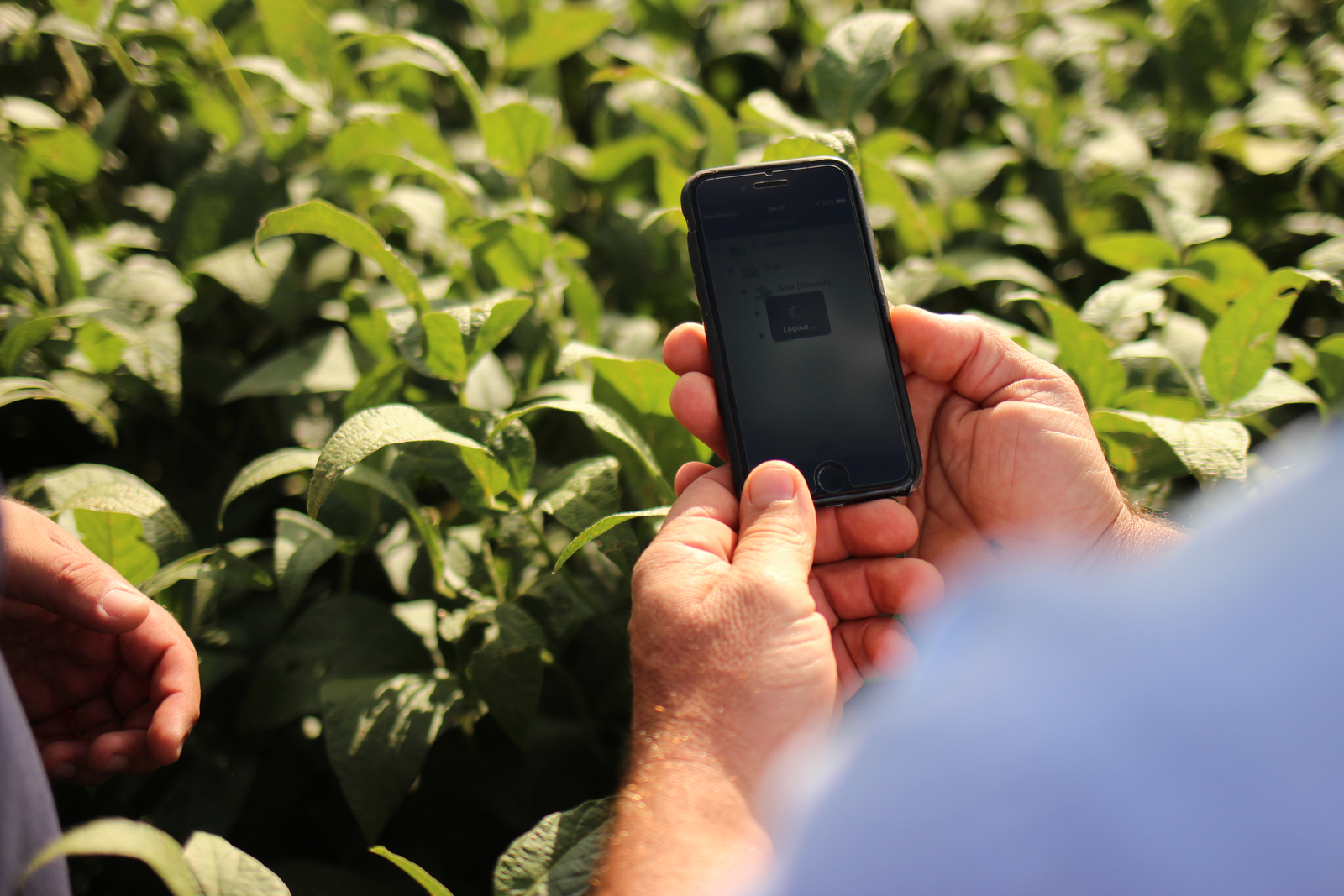 Digital farming FAQs