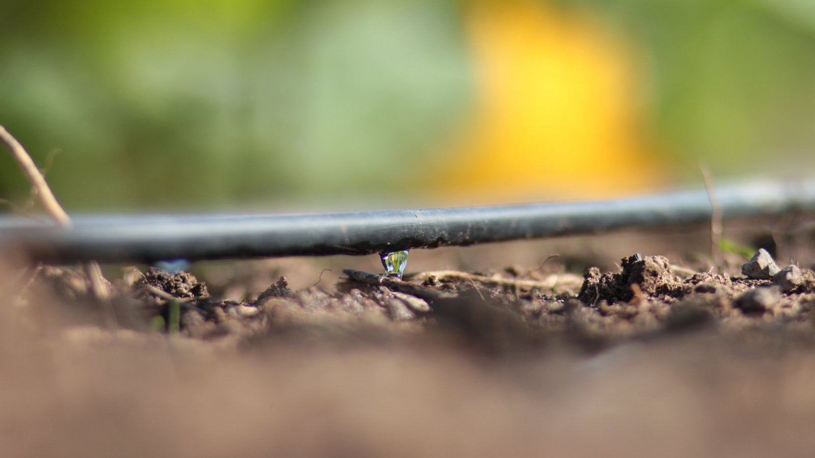 Eficiência no uso da água