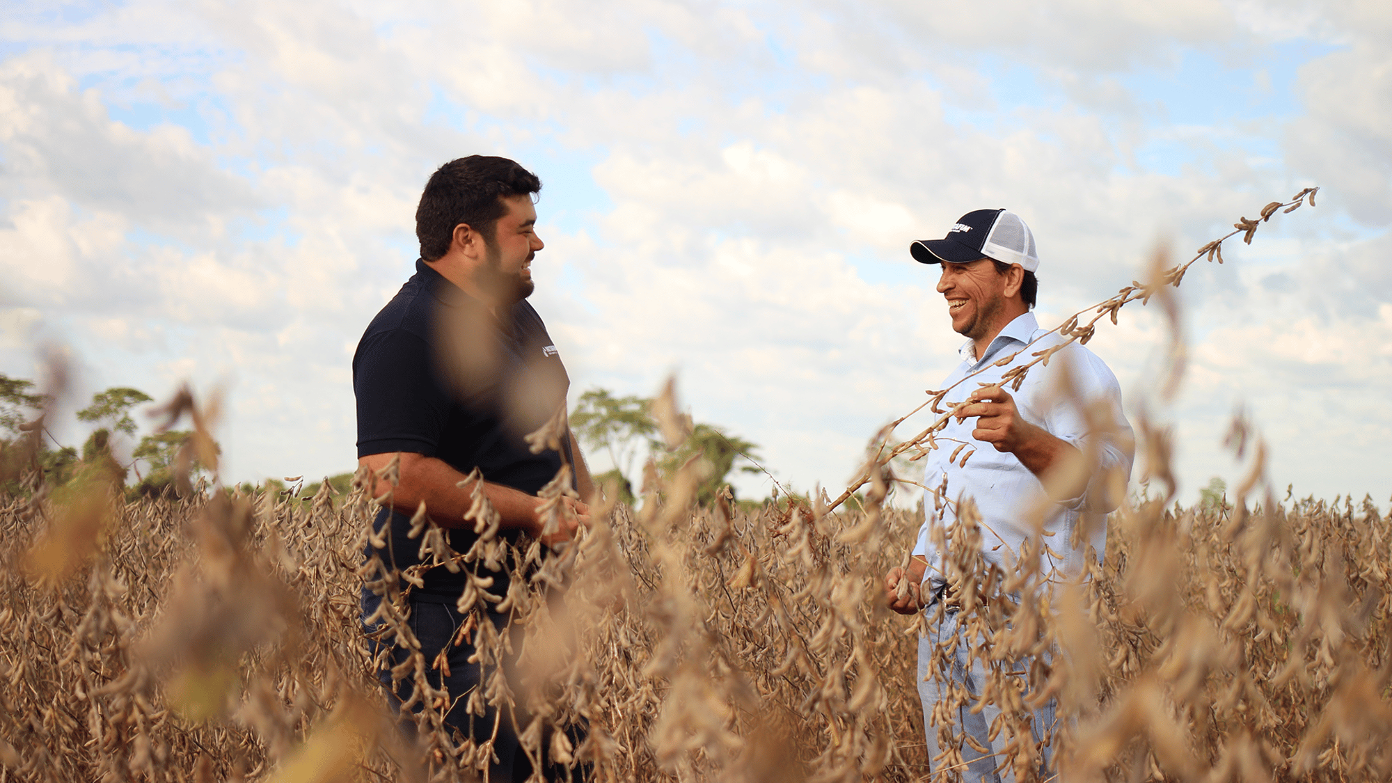 AgroNorte Irrigação - Netafim