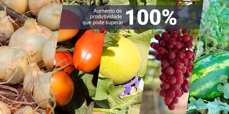 Hortifrúti.