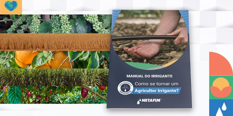 Manual do Irrigante.