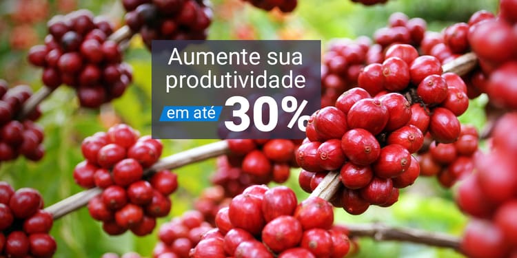 Irrigação por Gotejamento para Café.