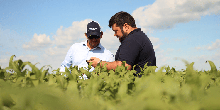 Dúvidas sobre Digital Farming.