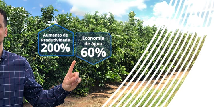 Irrigação por gotejamento.