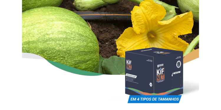 KIFNET