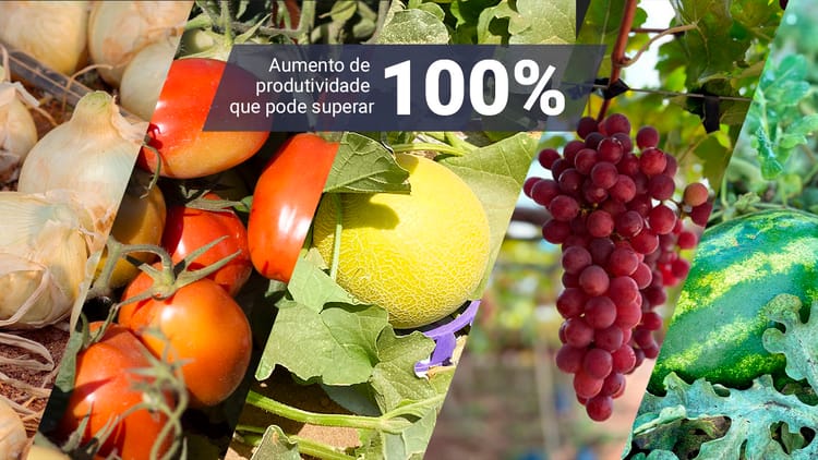 Hortifrúti.