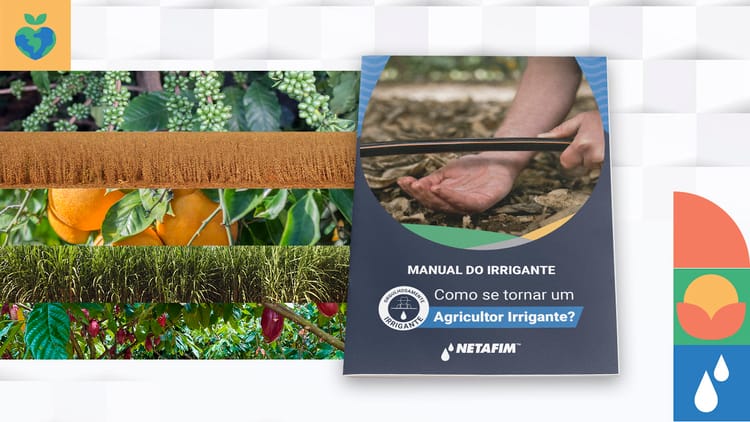 Manual do Irrigante.