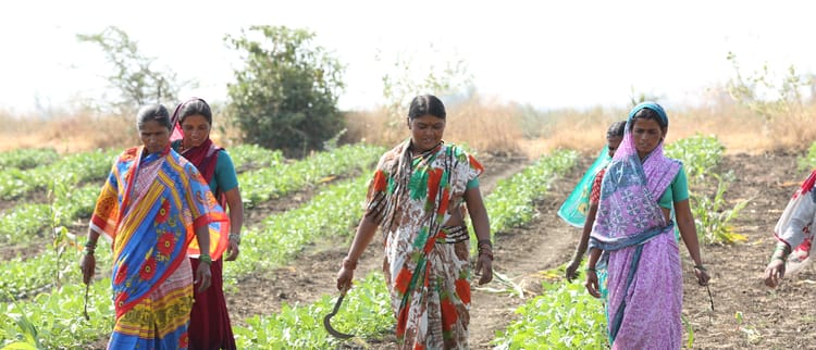 Capacitando mulheres em países em desenvolvimento com inovações no agro