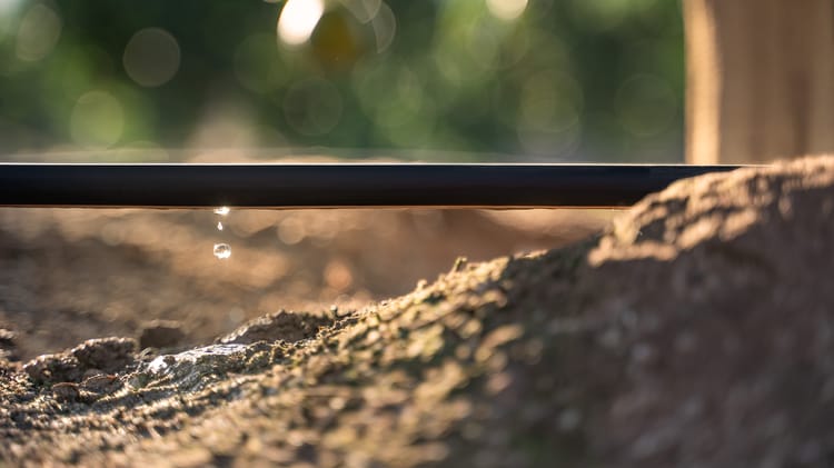 Gotejadores e tubos gotejadores.