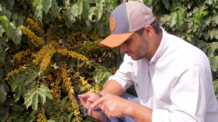 Digital Farming.