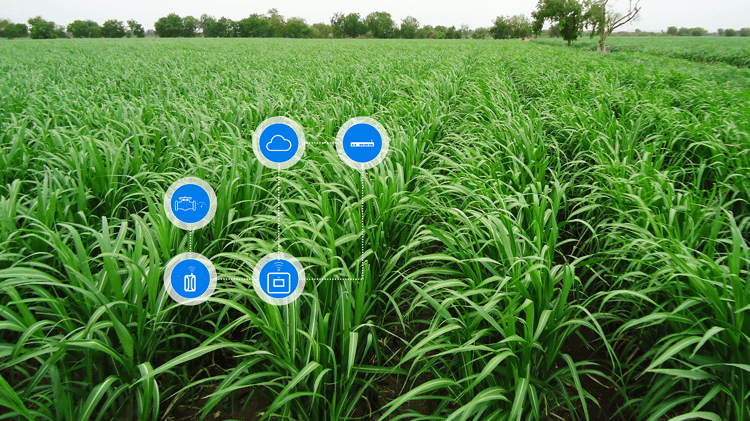 Digital Farming em Campo Aberto.