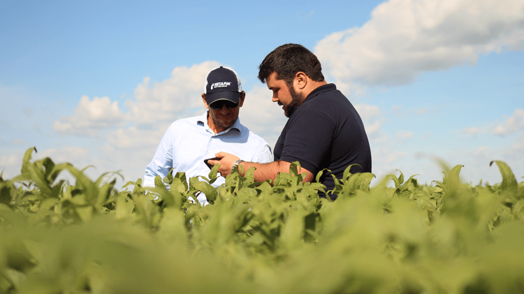 Dúvidas sobre Digital Farming.