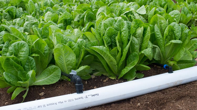 Tubos flexíveis e de polietileno.