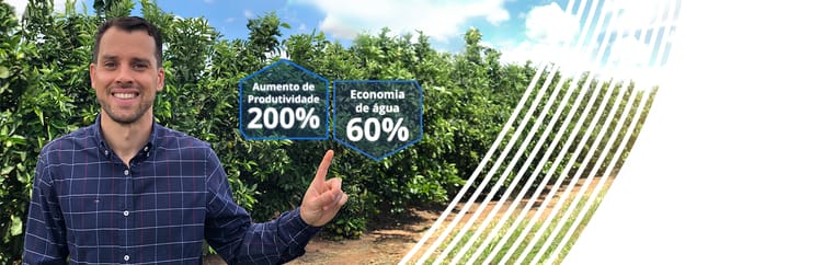 Irrigação por gotejamento.