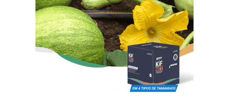 KIFNET