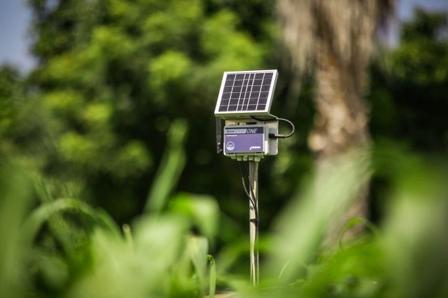 Irrigação automatizada para café: tecnologia, manejo e resultados no campo