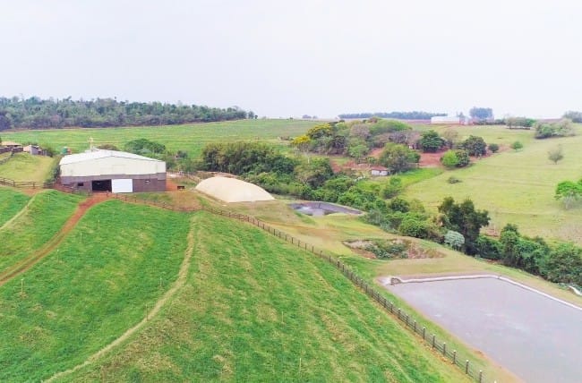 Irrigação para pastagem: aumente seus lucros no campo