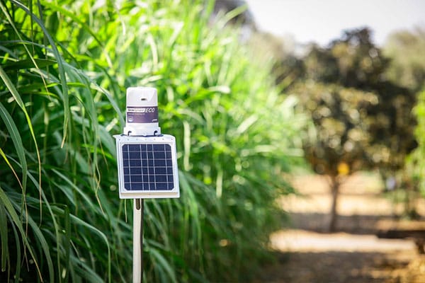 Digital Farming: automação que facilita a sua operação