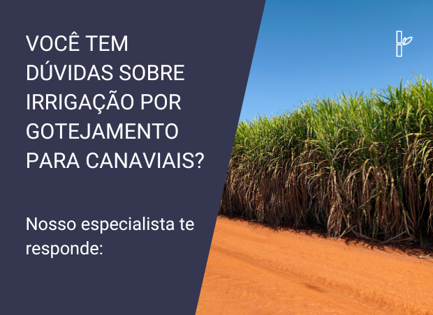 Perguntas e Respostas sobre Irrigação em Cana