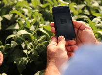 Dúvidas sobre Digital Farming