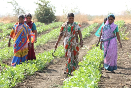 Capacitando mulheres em países em desenvolvimento com inovações no agro